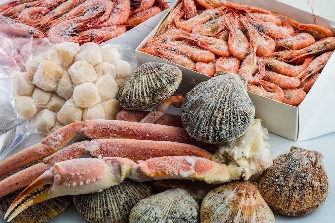 Fresh or Frozen Seafood by Sea Freight to the UAE